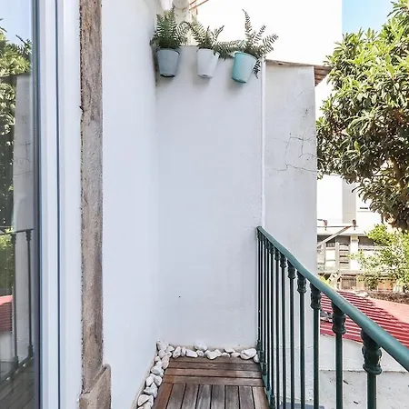 Campo De Ourique Modern Bright With Office * Lisboa